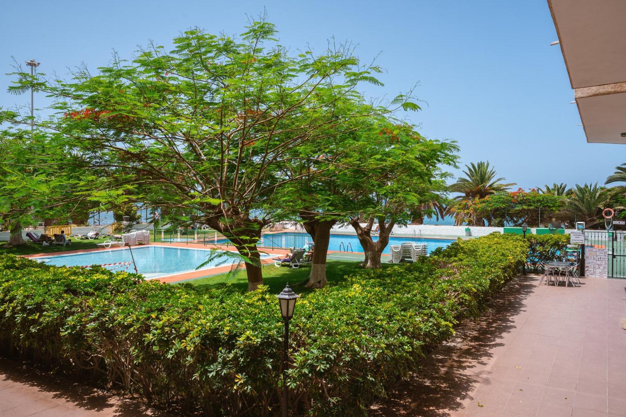 Go2Tenerife Apart'Dida Pool & First Line Of The Sea Los Cristianos  Exterior foto